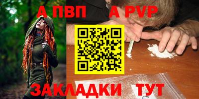 шишки Лесосибирск