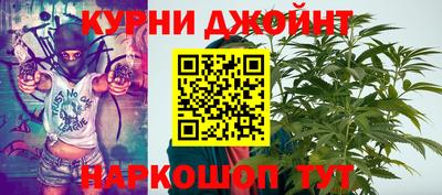 шишки Лесосибирск